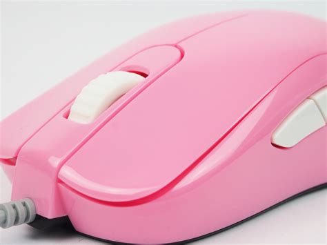 Is the Zowie S1 Still Good in 2026? Long-Term Review
